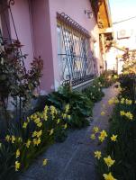 Amplia y confortable casa centrica - B&B