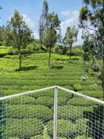 The green wood ooty - B&B