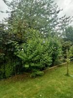 La chapelle - B&B