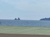 Le "Petit Chic" , Accès plage direct , Exposition Sud , Calme , Climatisation - B&B La Seyne-sur-Mer