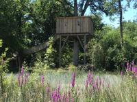 Suite con Vista Fiume