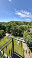 Sunny 2 bedroom apartment, free parking, high speed internet - B&B