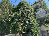 Central Stay Tirana - Ferienwohnung Tirana