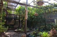 Old City Charm - B&B
