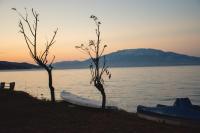 Potamitis House - B&B Alykes