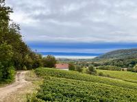 Familienzimmer mit Seeblick