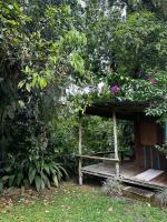 Casa Rio Blanco Eco Friendly B&B - B&B