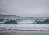 Poppy's Place - Denmark - Bed and Breakfast Denmark