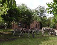 Rhino Cottage - Chambres d’hôtes Marloth Park
