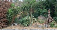INCANTO Golden Place B&B - B&B Reggio Calabria