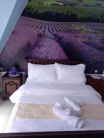 Pensiunea Lina - B&B Lepșa