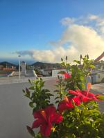 Apartamentos Los Volcanes - B&B Fuencaliente de la Palma