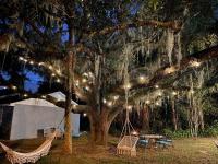 Nature Coast Getaway #2 - Comfy 2 Bedroom - B&B