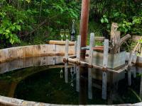 Eco cabañas - PUMALLEN - B&B