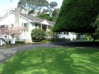 Bucket Tree Lodge - Ferienwohnung Tawa