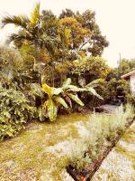 Bienvenidos a la Pequeña Selva de Legnalife - B&B Homestead