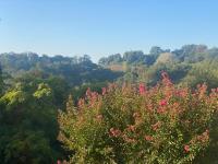 Francigena house - B&B Roma