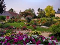 Chambre coquelicot - B&B