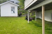 New renovated apartment near the airport with 3 double beds - B&B Tromsø