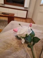Sarajevo Apartman Čikma - B&B
