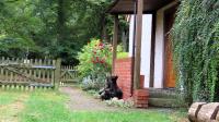 Ferienwohnung "Specker Krug" - B&B Kargow