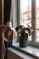 Montevideo Boutique Apartments - B&B