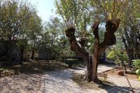 Feel House - Ferienwohnung Terjola