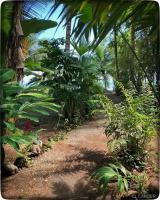 Cabaña Espavé - Arusí, Chocó - B&B Nuquí