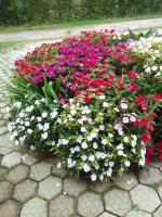 LUMIAR Recanto - B&B