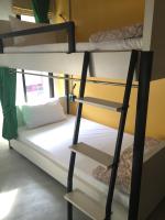 Bunk Bed in Mixed Dormitory Room