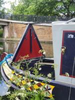 Canal Boat Experience in Little Venice for Family & Friends - B&B Londra