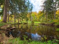 Willow Woods Retreat - Farmhouse - Patio & Nature - B&B Kirtland