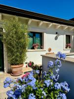 Stella - Bed and Breakfast Terlizzi