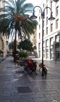 Don Armando al Massimo - Ferienwohnung Palermo