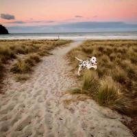 Surf batch Mount Maunganui 2 bedroom - B&B
