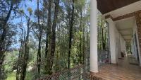 The Himalayan Oaks - B&B Chaukori