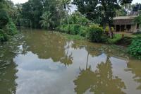 Tharangini - B&B