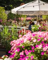 Pod Kolumnami - B&B Pilica