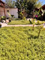 Bungalow Familial