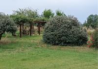 GIGANTI VERDI - Appartamento Kiwi - B&B Orbetello