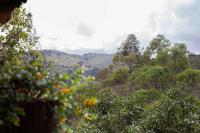 Luna Verde Eco Hábitat - Ferienwohnung Rionegro