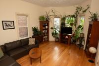 2 bedroom Boston condo in Jamaica Plain with parking - Ferienwohnung Boston