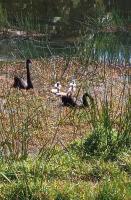 Lakehouse Studio - B&B Kerikeri