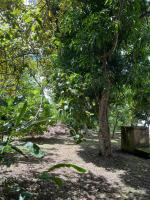 Villa campagne créole - Ferienwohnung Blanchet