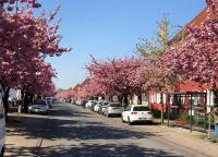 Citynahe gemütliche Wohnung mit 5 Schlafzimmern - B&B Bielefeld