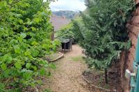 Alte Schule in Trulben - Bed and Breakfast Trulben