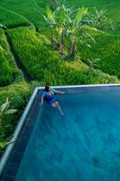 Umah Adenium Ubud - B&B