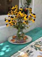 Mango guest house - B&B