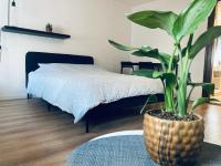 T1 Tout confort aux porte de Strasbourg - B&B