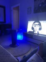 Les rose de tanger - B&B Tangier